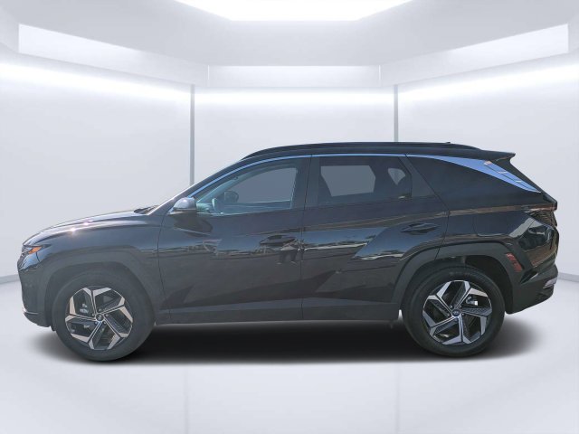 Used 2024 Blue Hyundai SEL Convenience image 6