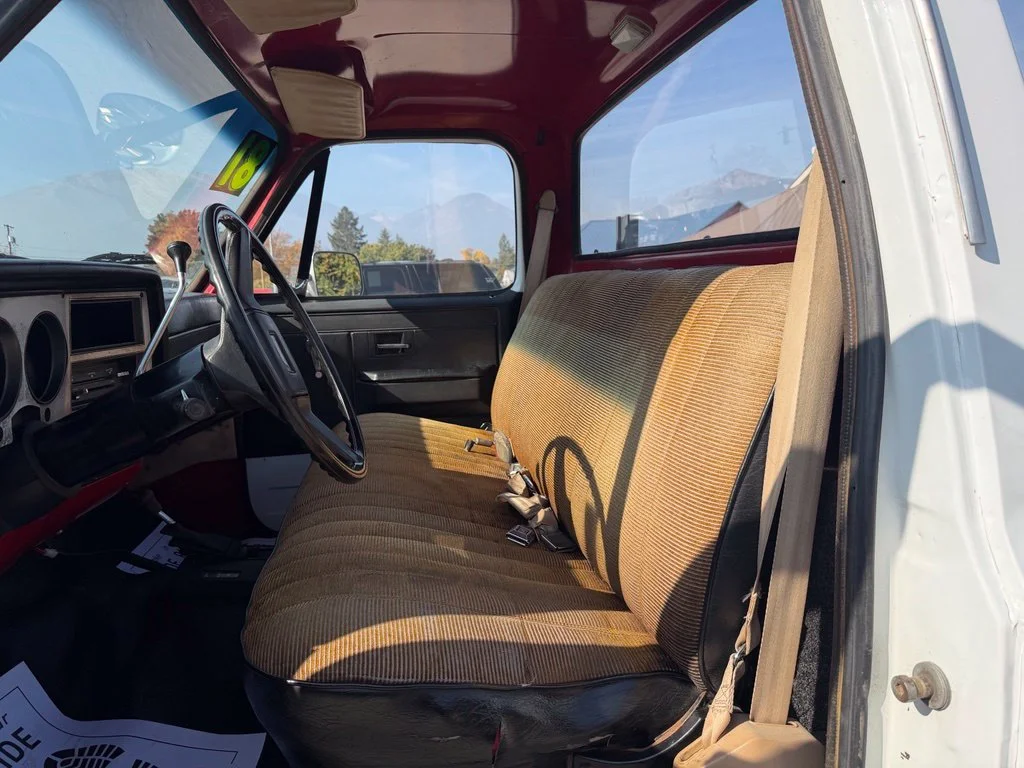 Used 1981 White Chevrolet W/T image 9