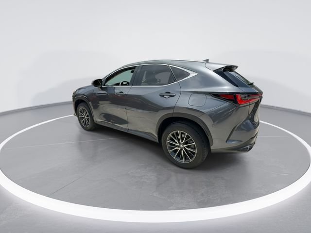 2025 Lexus NX 250 - Photo 6