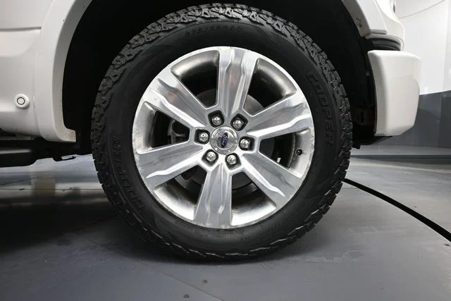 Used 2017 White Ford Platinum image 15