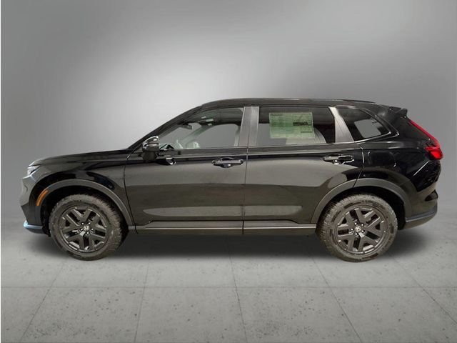 New 2026 Crystal Black Pearl Honda TrailSport image 2