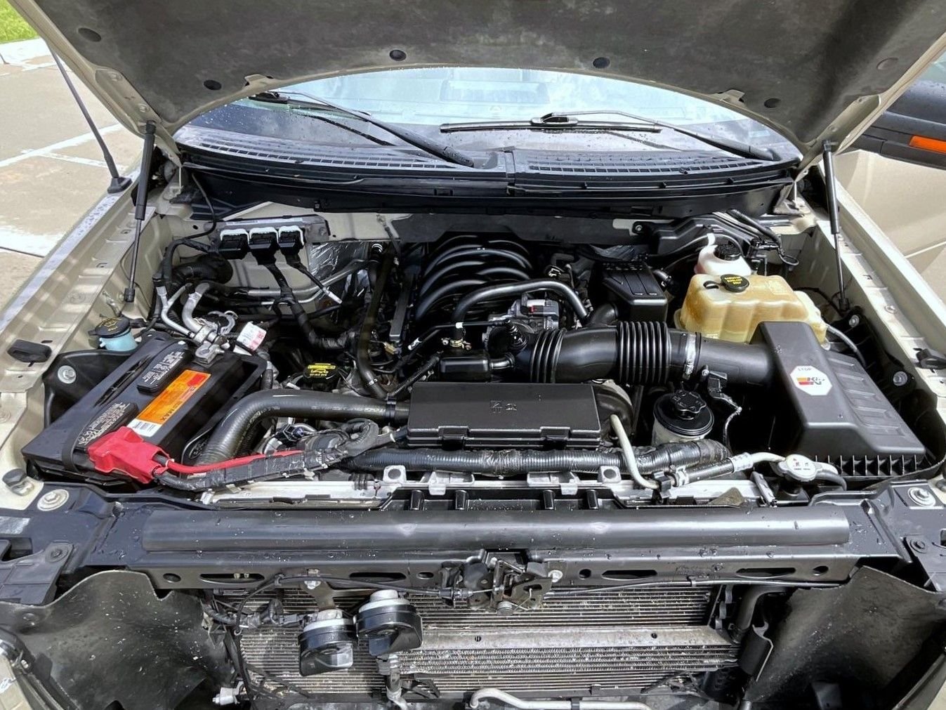 Used 2010 Gold Ford XLT image 25