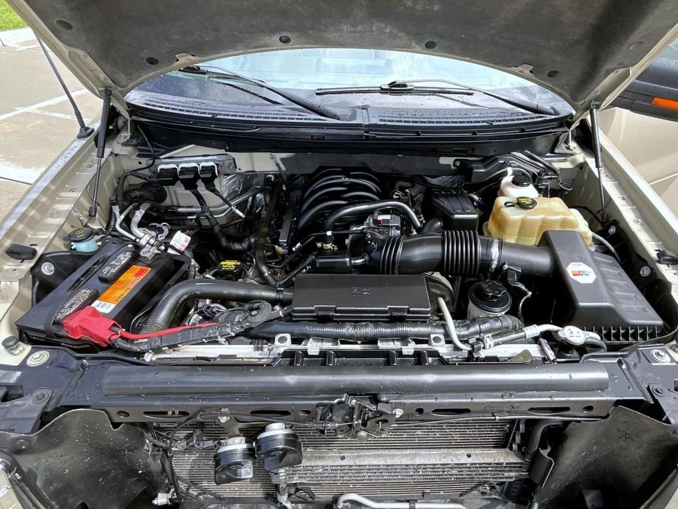 Used 2010 Gold Ford XLT image 25