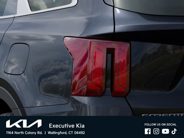 New 2026 Panthera Metal Kia EX image 11