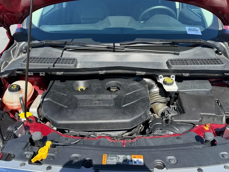 Used 2019 Ruby Red Metallic Ford Titanium image 23