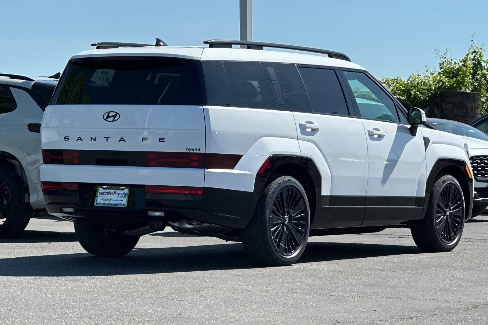 New 2026 Serenity White Hyundai Calligraphy image 4