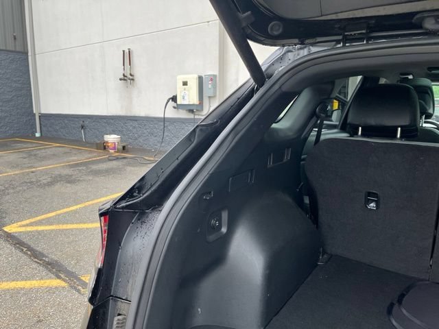 Used 2024 Ebony Black Kia X-Line image 19