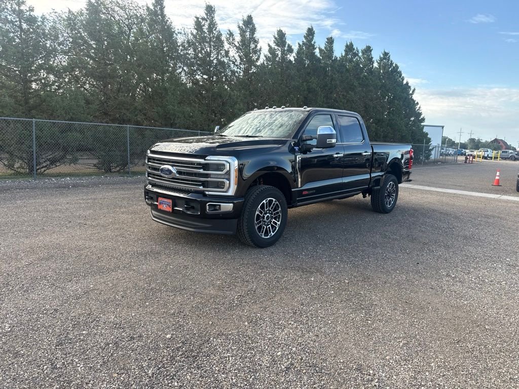New 2026 Agate Black Metallic Ford Platinum image 1