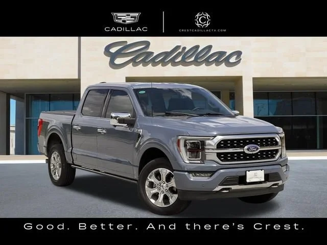 Used 2023 Gray Ford Platinum image 1
