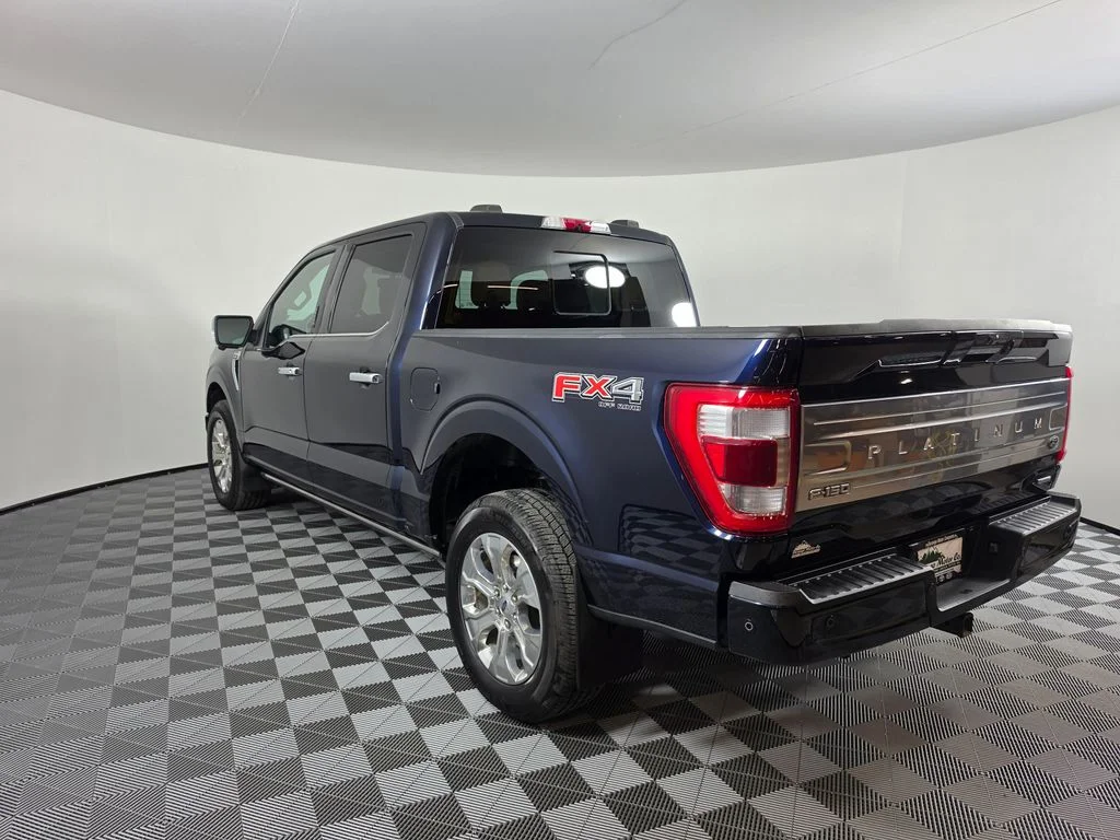 Used 2022 Blue Ford Platinum image 9