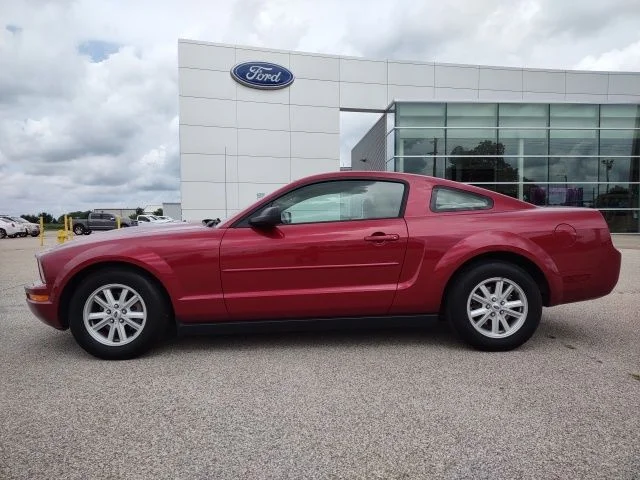 Used 2005 Ford Mustang Premium with VIN 1ZVFT80NX55214156 for sale in Galesburg, IL