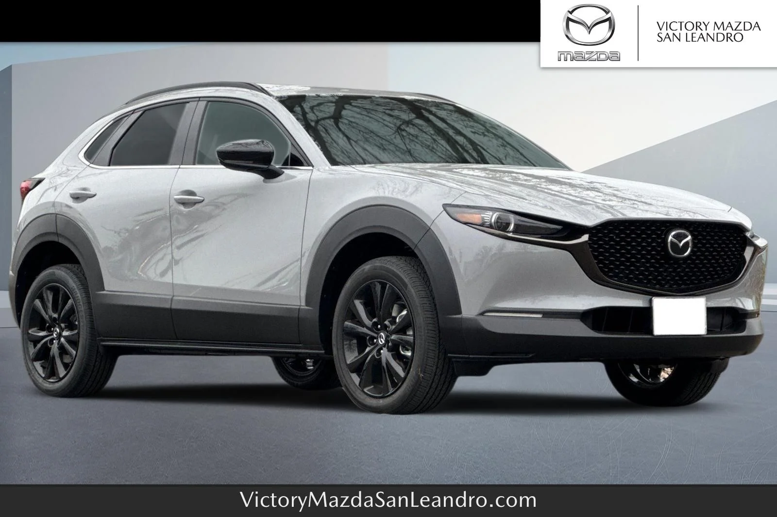 2025 Mazda CX-30 Turbo Premium AWD's photo