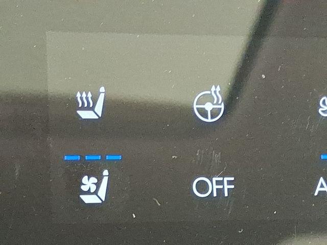 2026 Hyundai Palisade Calligraphy - Photo 22