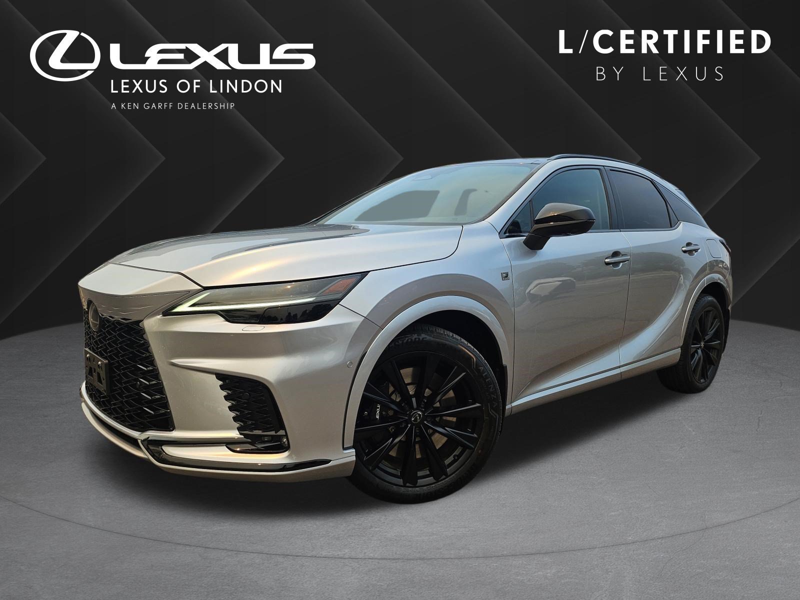 2023 Lexus RX 350h 500h F SPORT AWD's photo