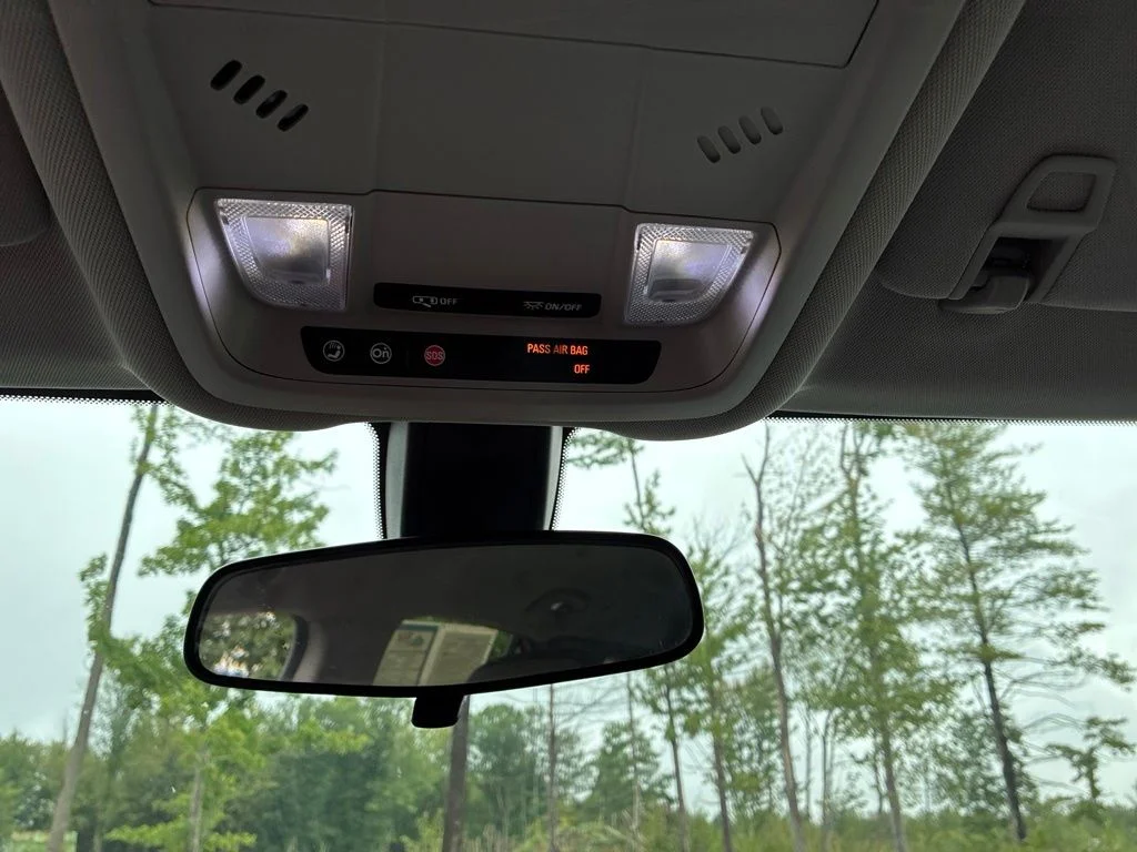 Used 2019 Blue Chevrolet LS image 17