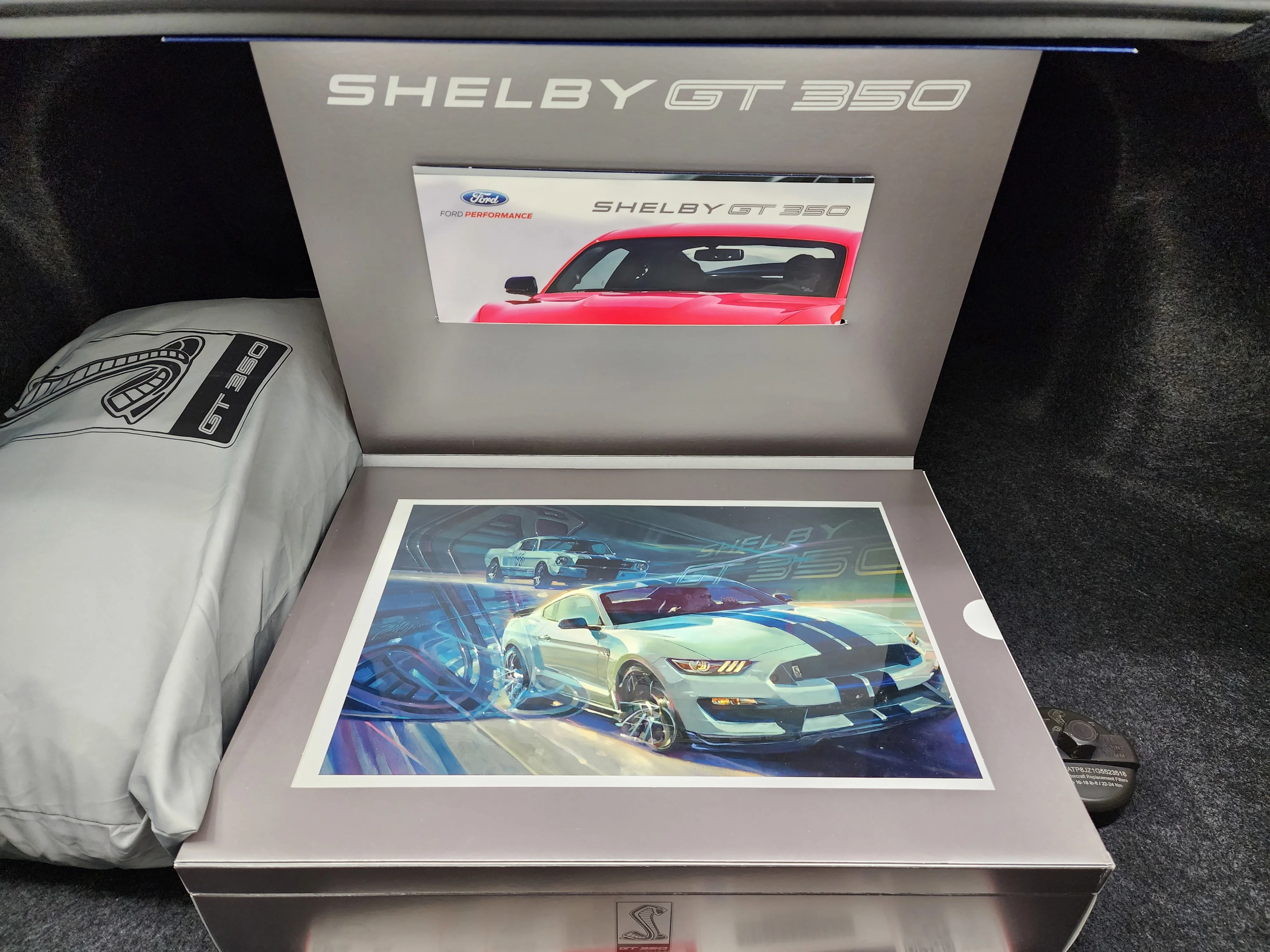 Used 2016 Shadow Black Ford Shelby GT350 image 33