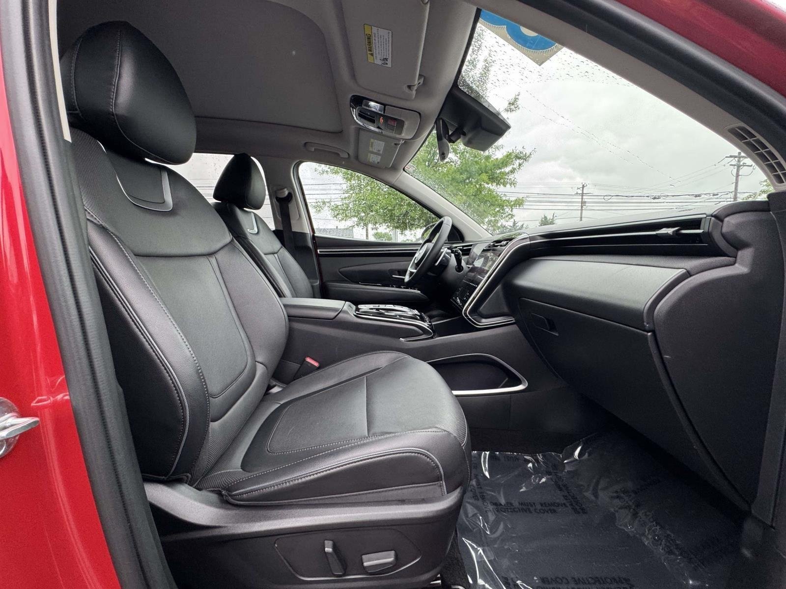 Used 2023 Calypso Red Hyundai Limited image 8