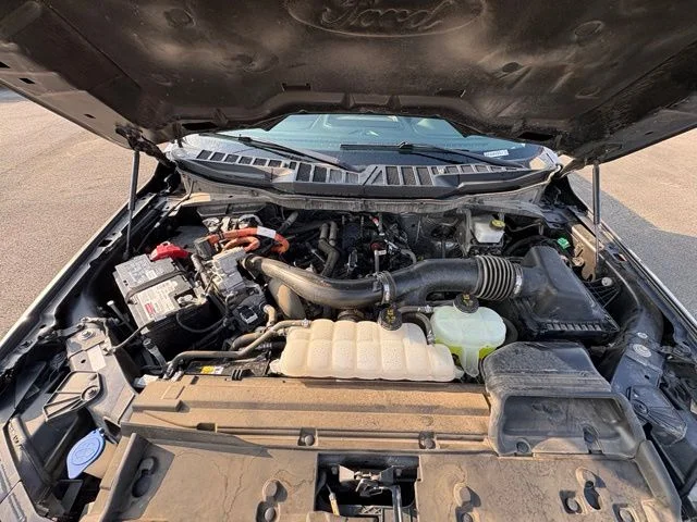Used 2024 Gray Ford XLT image 29