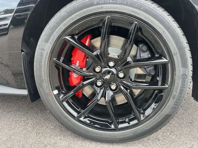 New 2026 Black Ford GT Premium image 9