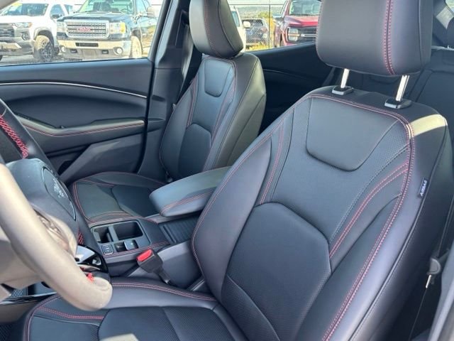 New 2026 Shadow Black Ford Premium image 11