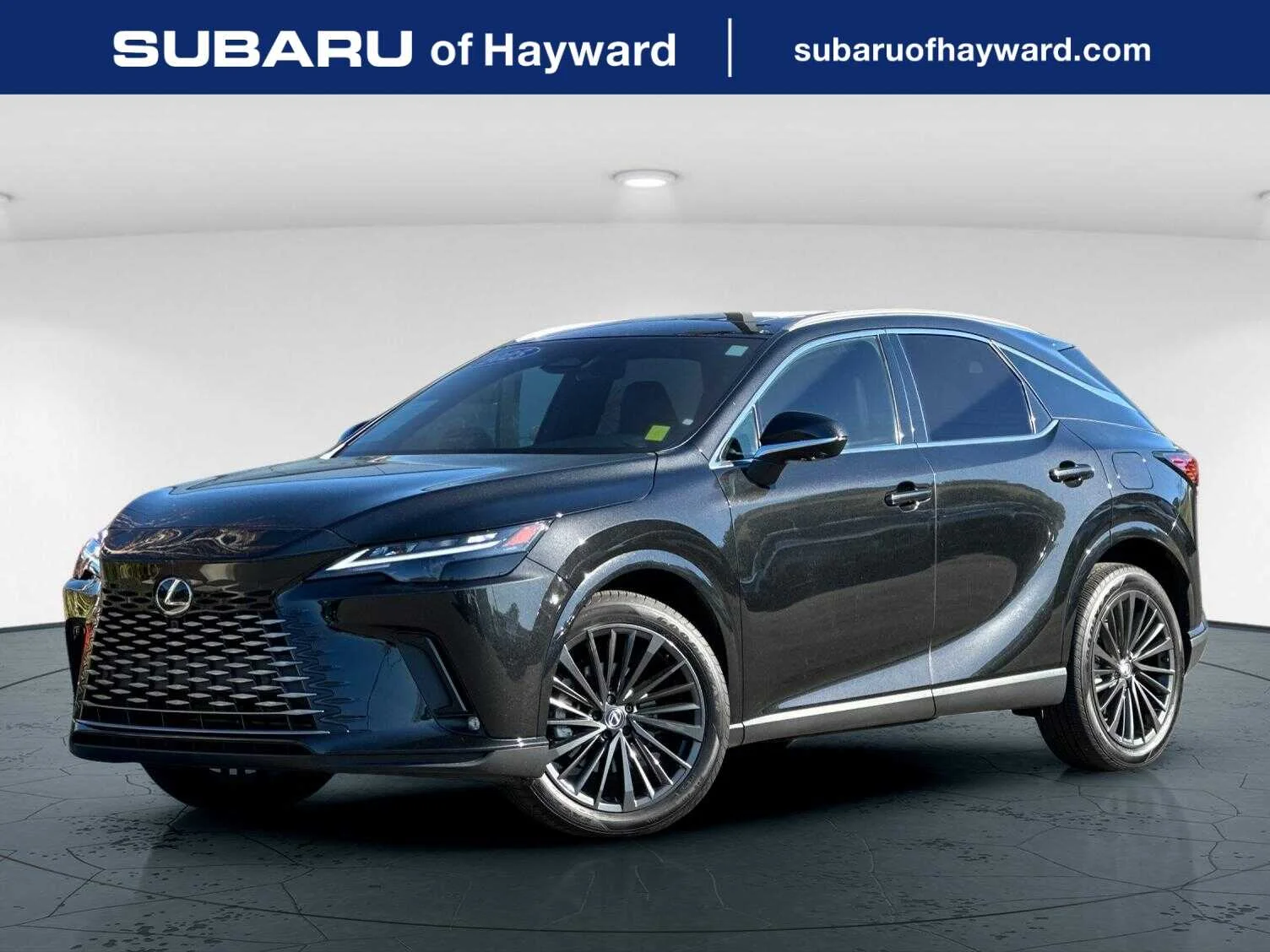 2025 Lexus RX 350h 350h Premium AWD's photo