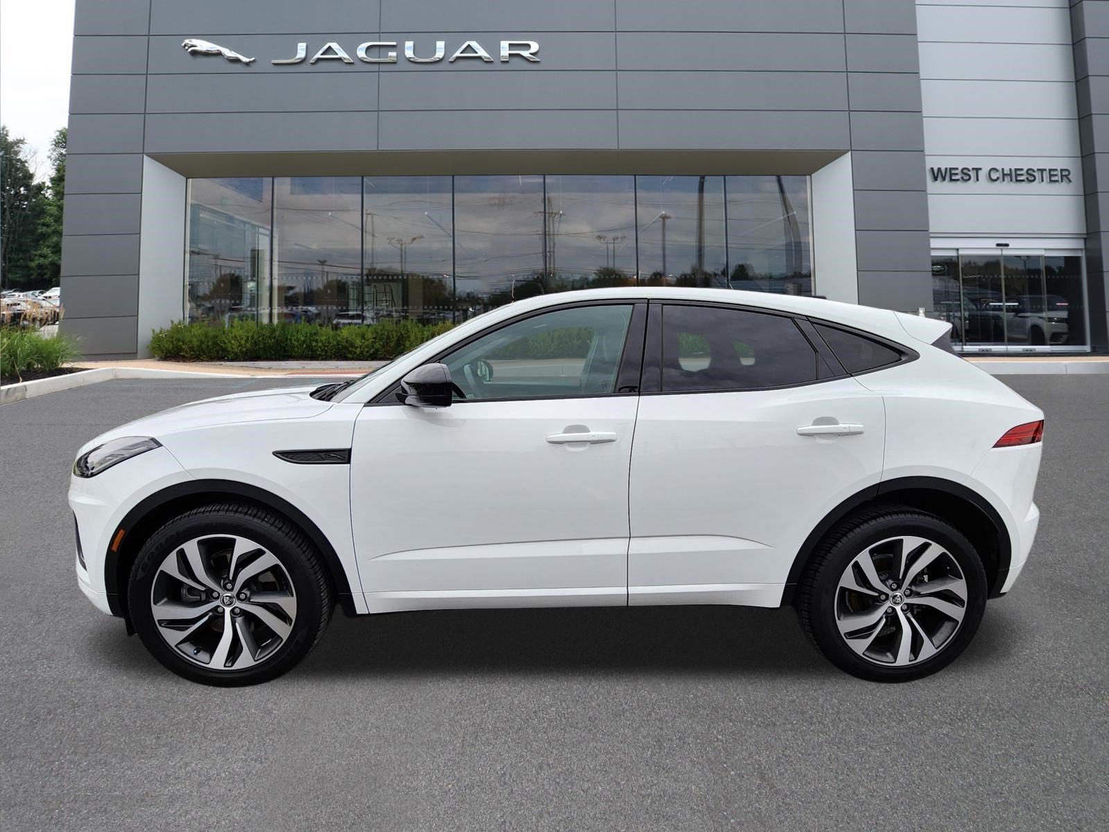 Used 2024 Fuji White Jaguar P250 image 5