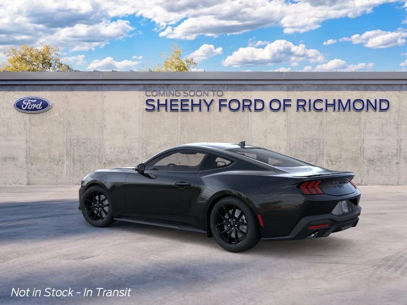 New 2026 Shadow Black Ford GT image 5
