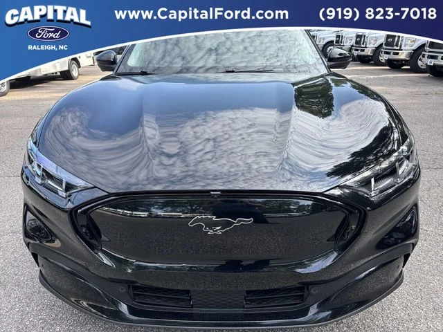 Used 2025 Black Ford Premium image 10
