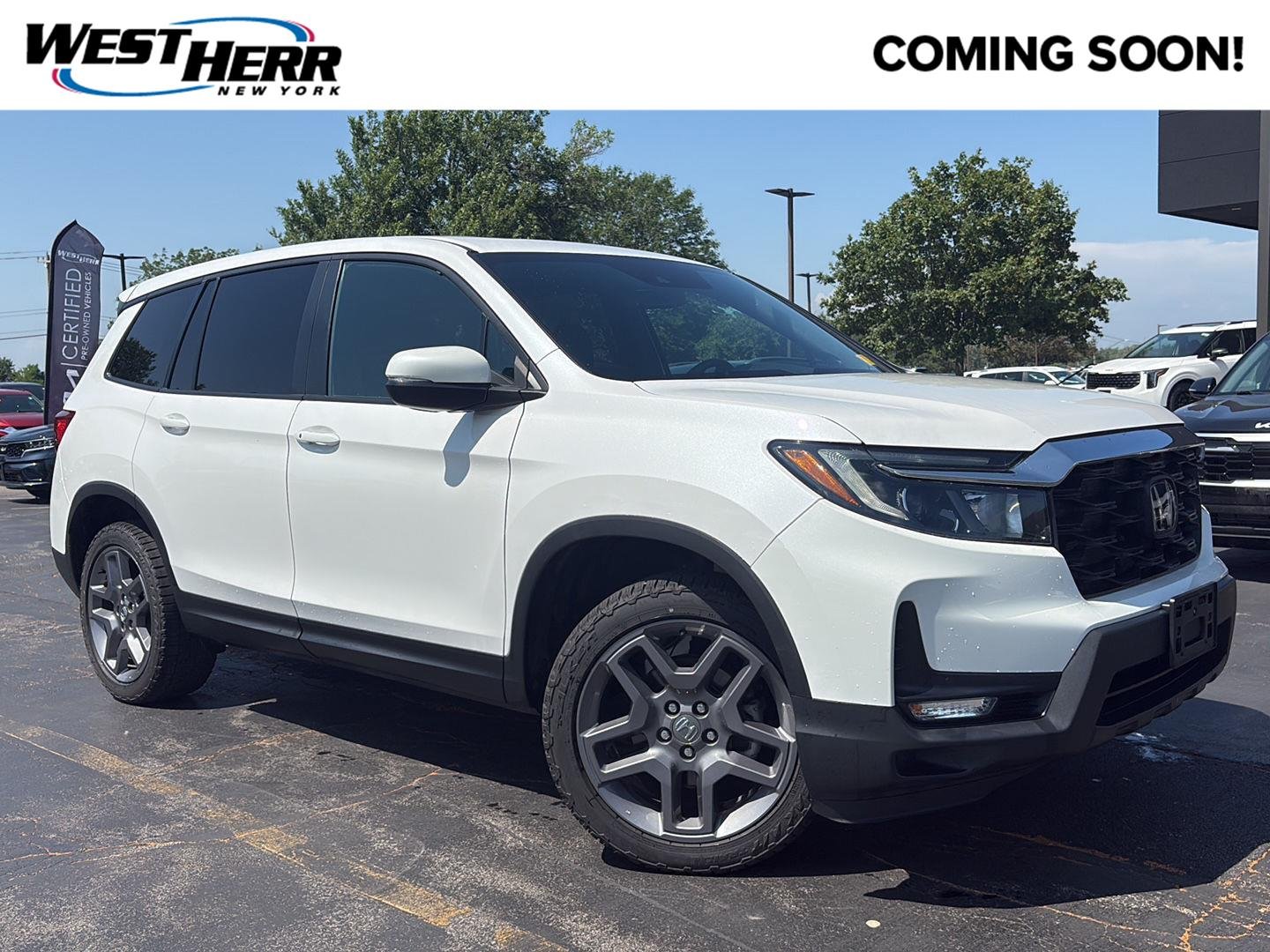 Used 2023 Platinum White Pearl Honda EX-L image 1