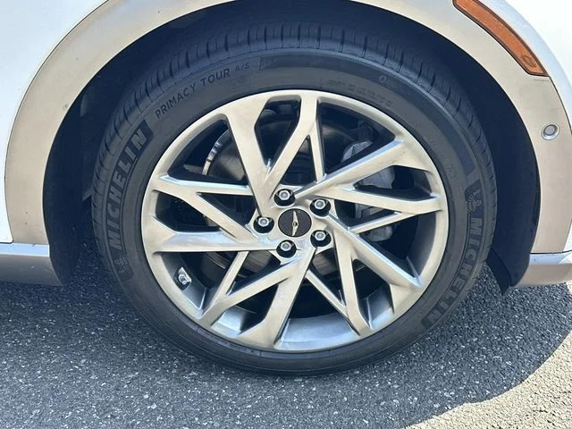 Used 2023 White Genesis Advanced image 11