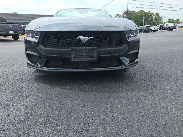 Used 2024 Shadow Black Ford EcoBoost Premium image 2