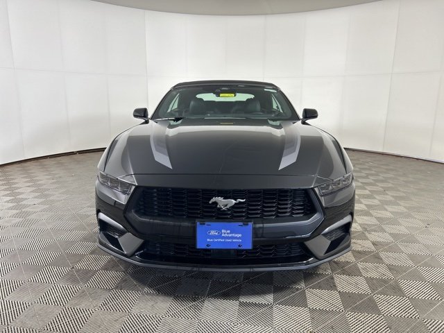 Certified 2025 Ford Mustang EcoBoost Premium with VIN 1FAGP8UH8S5119936 for sale in Shakopee, Minnesota