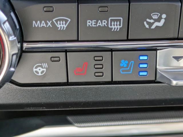 New 2026 Black Ford Platinum image 23