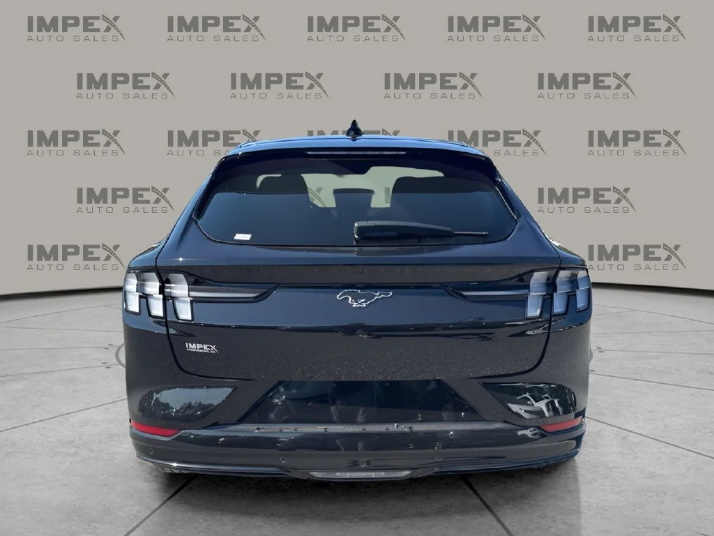 Used 2023 Black Ford Premium image 4