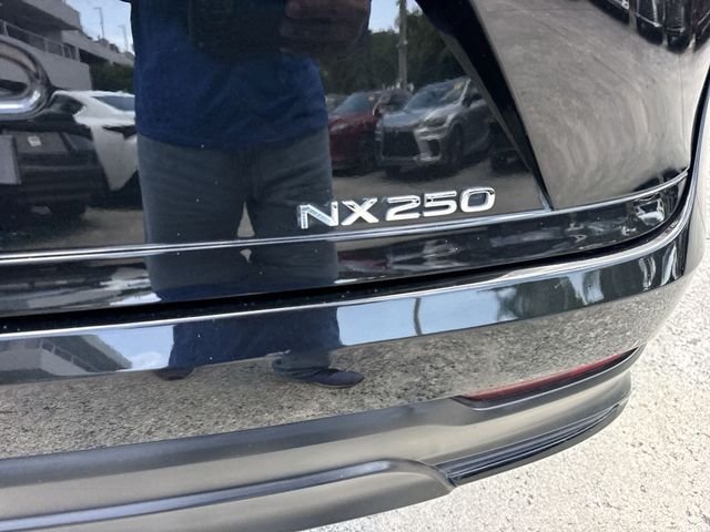 2023 Lexus NX 250 - Photo 25