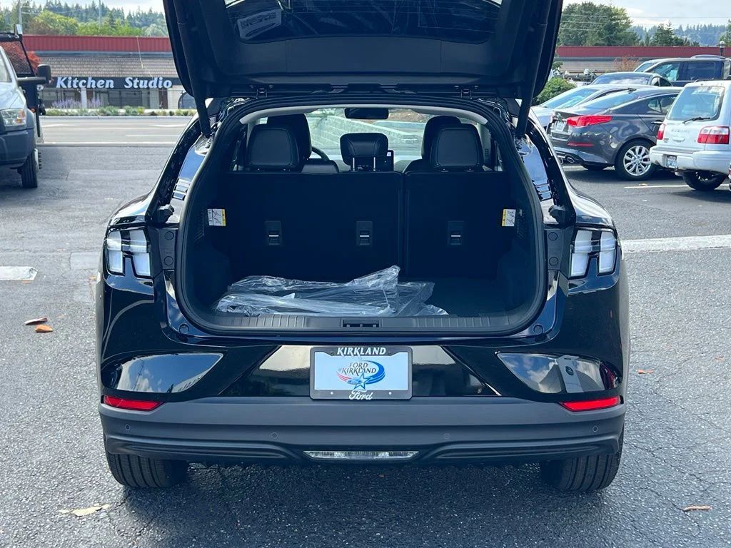 New 2026 Shadow Black Ford Premium image 9