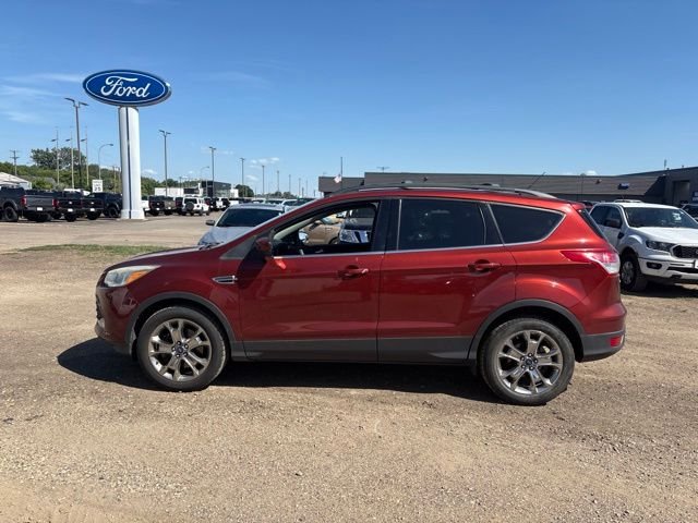 Used 2016 Orange Ford SE image 6
