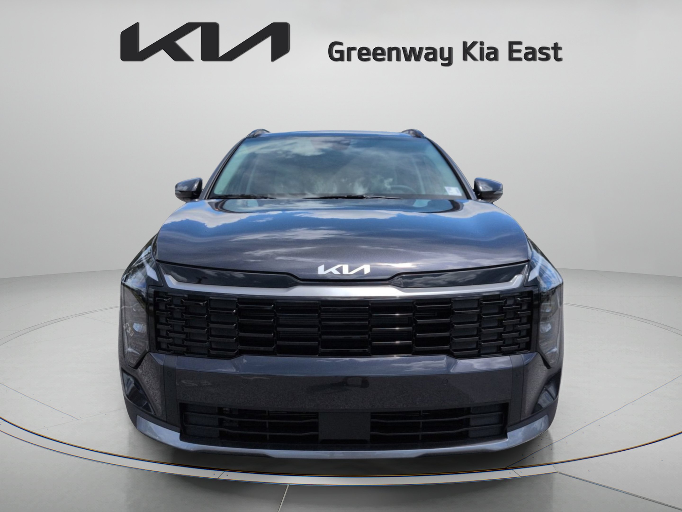 New 2026 Panthera Metal Gray Kia EX image 11