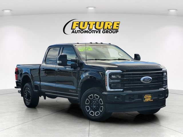 Used 2026  Ford Platinum image 1