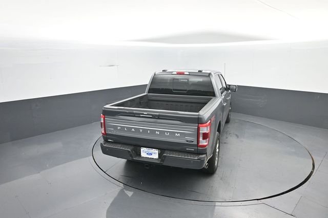 Used 2023 Gray Ford Platinum image 32