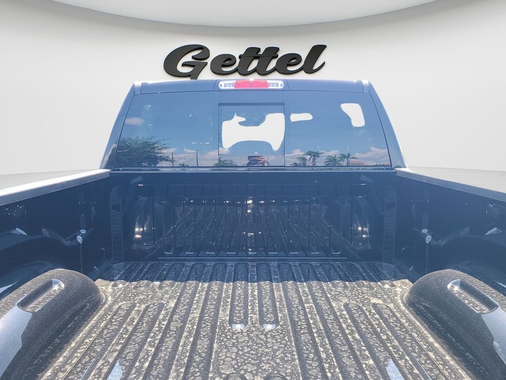 New 2026 Diamond Black Crystal Pearl-Coat Exterior Paint RAM Big Horn/Lone Star image 9