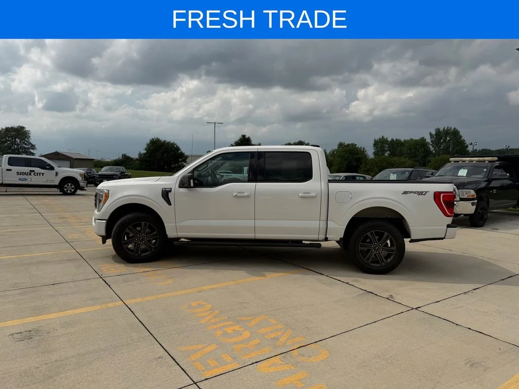 Used 2021 Oxford White Ford XLT image 2