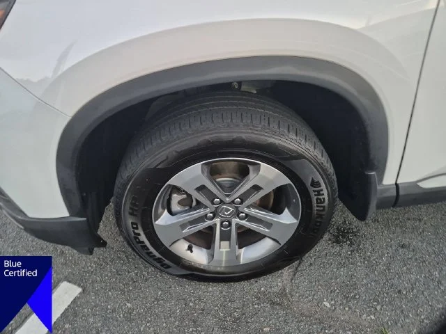 Used 2025  Honda EX-L image 10
