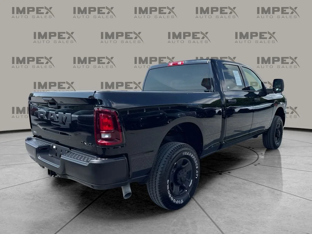 Used 2025 Black Ram Tradesman image 5