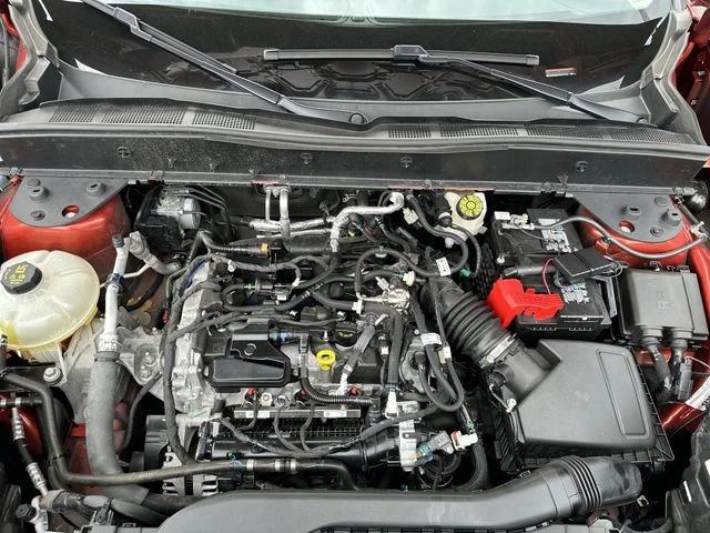 View 19