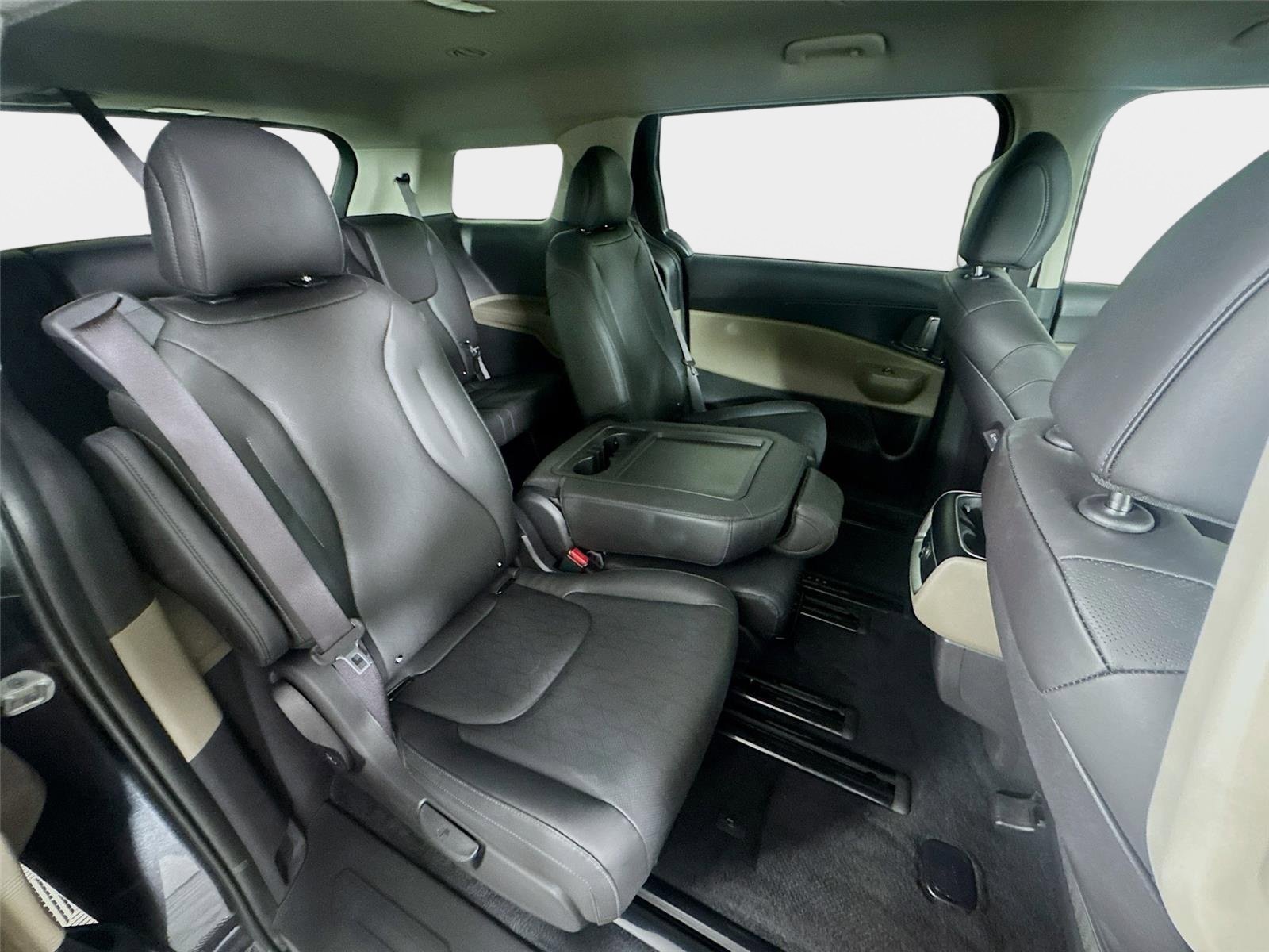 Used 2025 Panthera Metal Kia LXS image 28