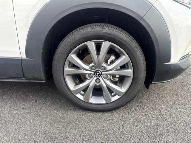 Photo 12