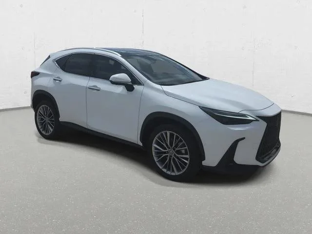 2026 Lexus NX 350 Luxury - Photo 10