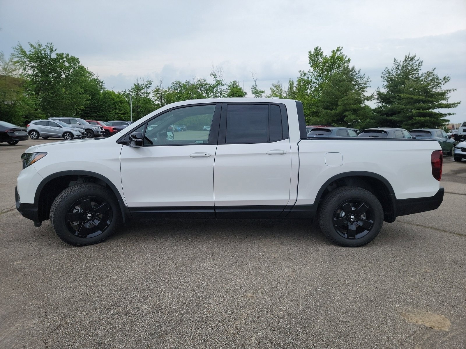 New 2026 Platinum White Pearl Honda Black Edition image 16