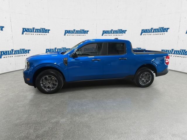 New 2026 Velocity Blue Ford XLT image 6